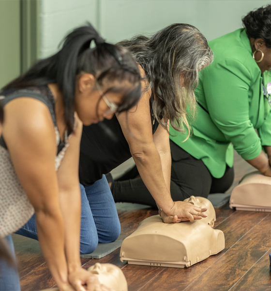 People kneeling on a gym floor practicing chest compressions on CPR manikins during a hands-on training session, with a green-clad instructor nearby.