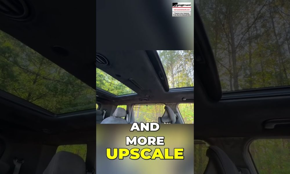 Interior of a car with a large sunroof and forest visible through the glass, text overlay reads 'AND MORE UPSCALE'.