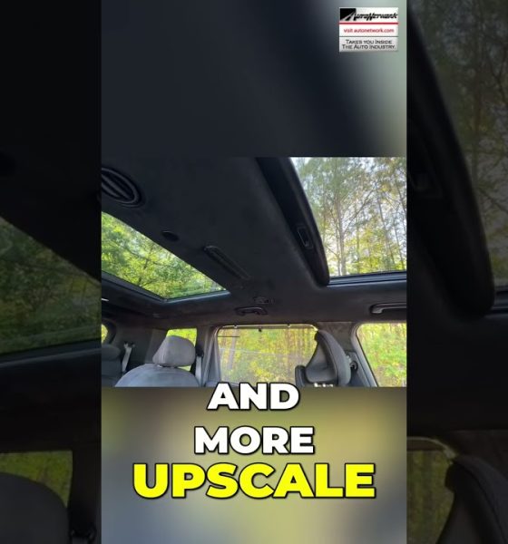 Interior of a car with a large sunroof and forest visible through the glass, text overlay reads 'AND MORE UPSCALE'.