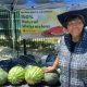 Agricultural Engineer Effie Gant displays watermelons from her Sacramento farm at the Temescal Festival in Oakland. Photo by Carla Thomas.