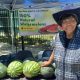 Agricultural Engineer Effie Gant displays watermelons from her Sacramento farm at the Temescal Festival in Oakland. Photo by Carla Thomas.