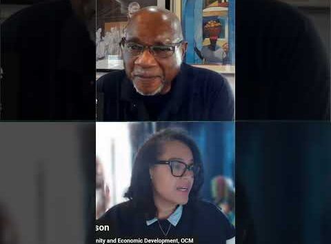 Jess Jackson discusses racism in cannabis prohibition on BlackPressUSATV