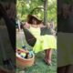 Frizz Fest 2026 in St. Louis celebrates Black hair, joy, and community.