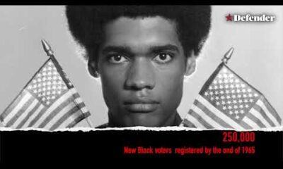 Houston Defender's guide to everything you need to know before you vote.
